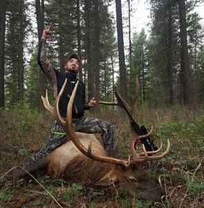 Meet your Posher, Tracy